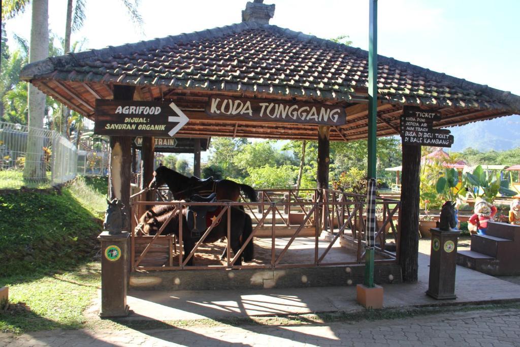 Royal Safari Garden Resort&convention Station touristique 4*